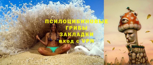 ECSTASY Новозыбков
