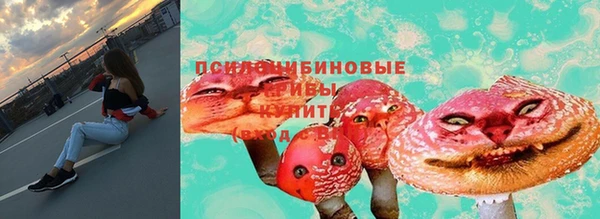 apvp Нефтекумск