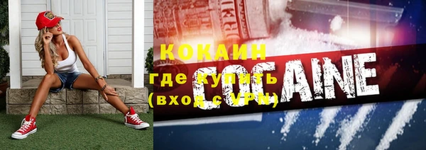 ECSTASY Новозыбков